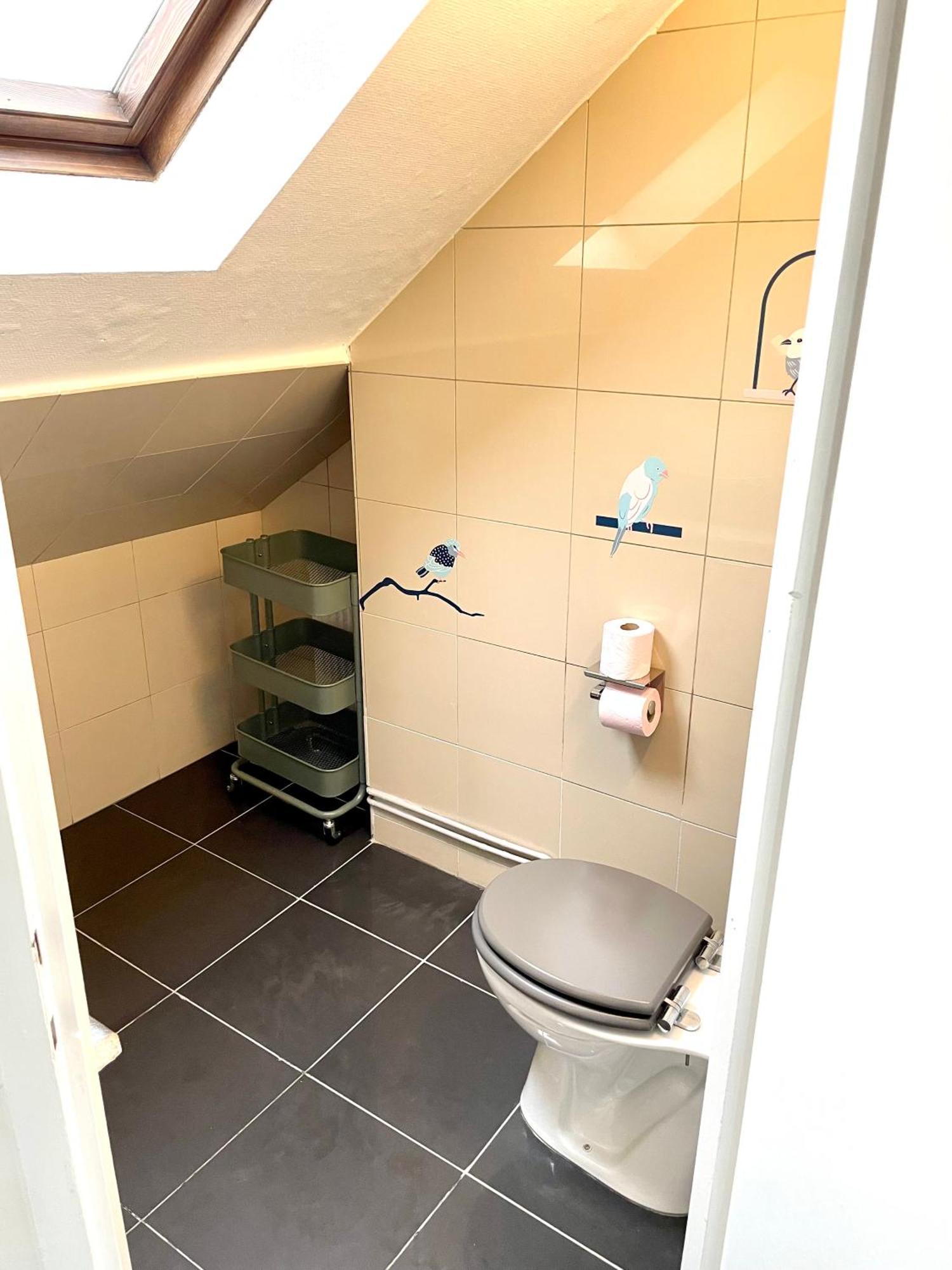 Appartement Duplex 90M2 - 3 Chambres - Мюлуз Екстер'єр фото