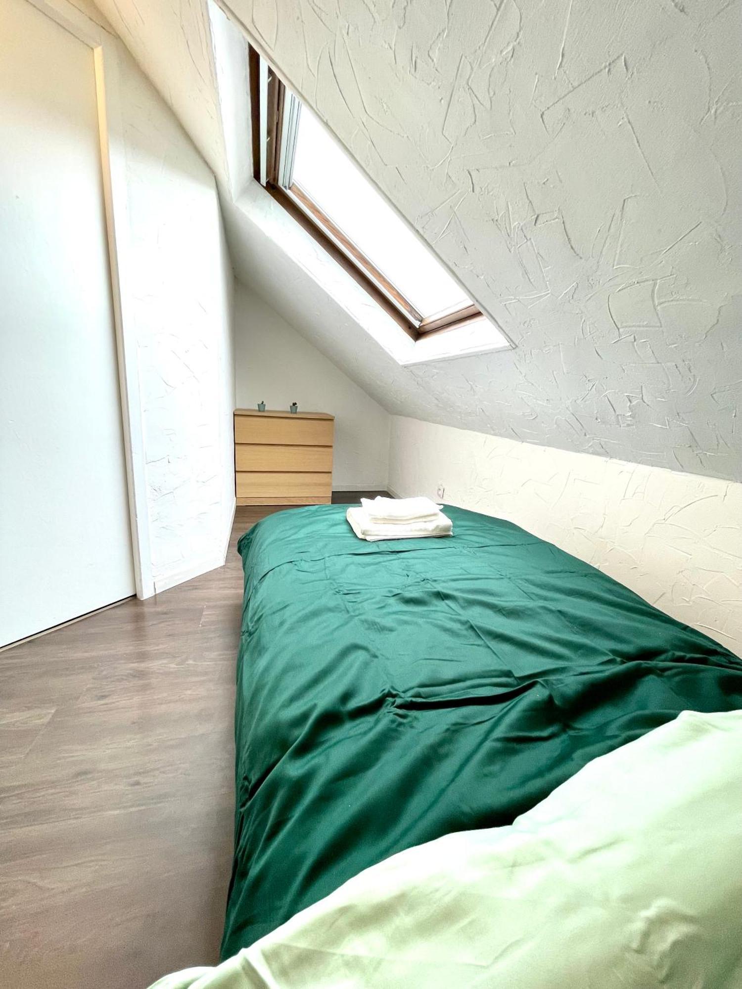 Appartement Duplex 90M2 - 3 Chambres - Мюлуз Екстер'єр фото