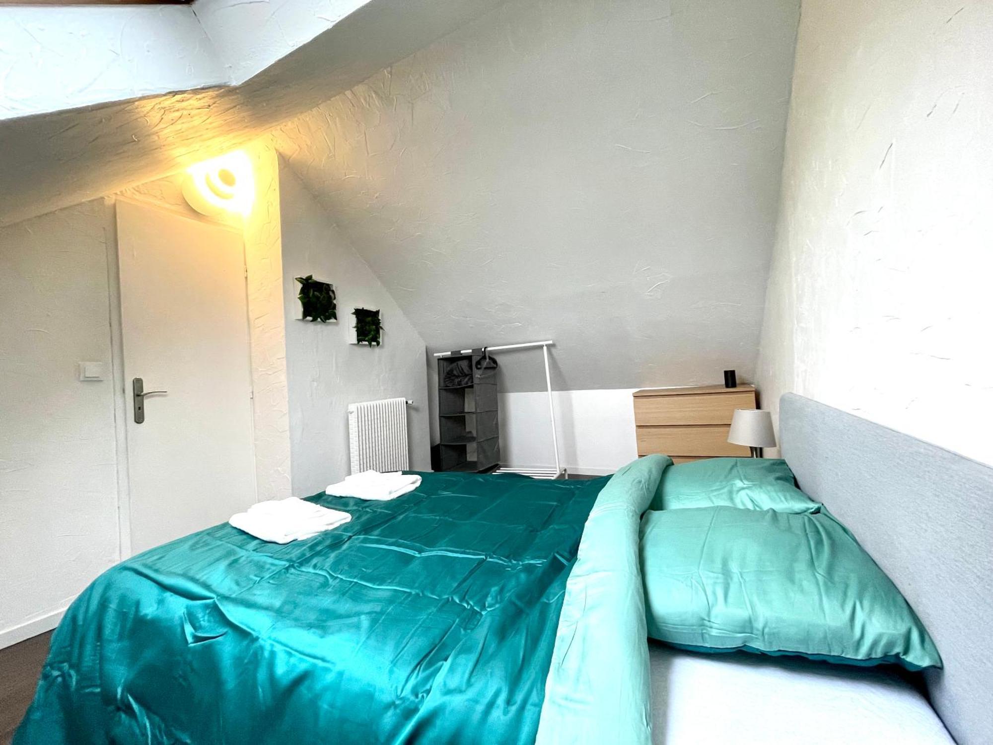 Appartement Duplex 90M2 - 3 Chambres - Мюлуз Екстер'єр фото